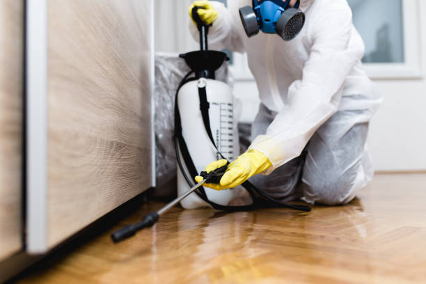 Best Best Pest Control Companies  in Franklinville, NJ