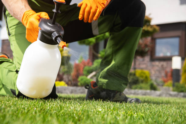Bird Control in Franklinville, NJ