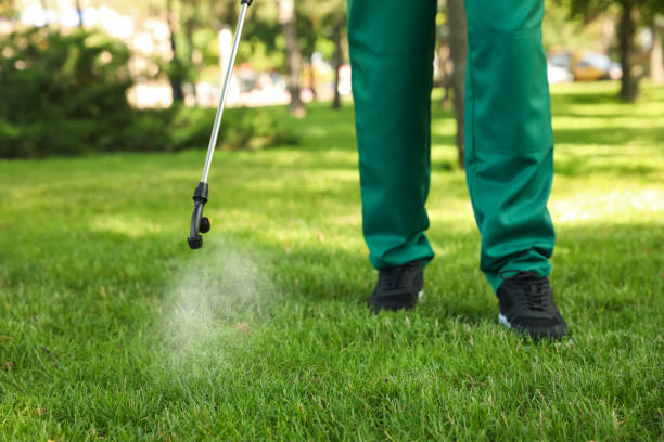 Best Mosquito Control Services  in Franklinville, NJ