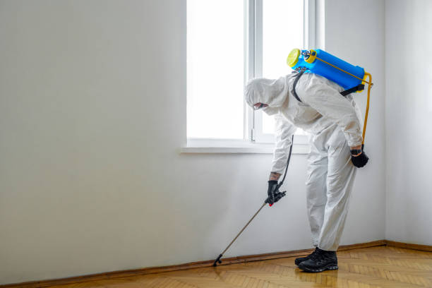 Best Flea Control Services  in Franklinville, NJ