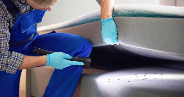 Best Mosquito Control Services  in Franklinville, NJ