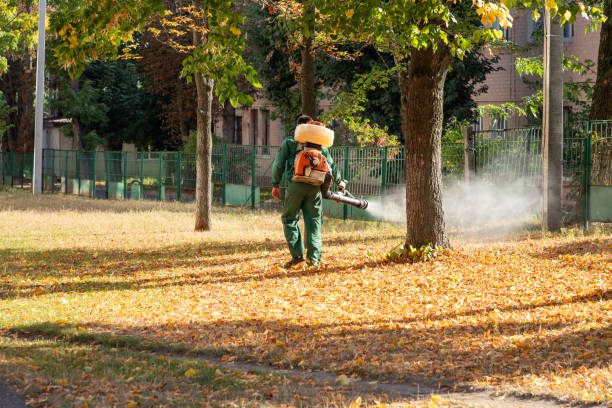 Best Termite Control Services  in Franklinville, NJ