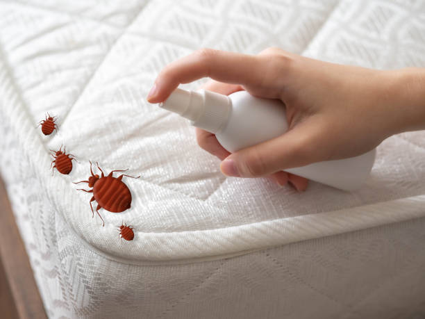 Best Pest Control Near Me  in Franklinville, NJ
