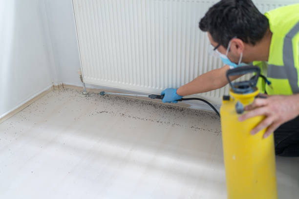 Best Local Pest Control Services  in Franklinville, NJ