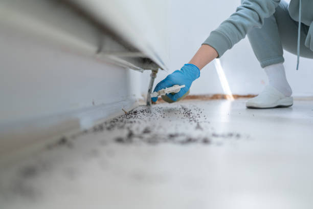 Best Pest Prevention Services  in Franklinville, NJ