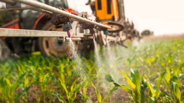 Best Pest Removal Services  in Franklinville, NJ